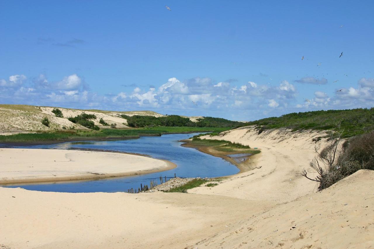 Le Hameau Des Vagues 4-5 Pers Piscines Et Nature A Moliets Exterior photo
